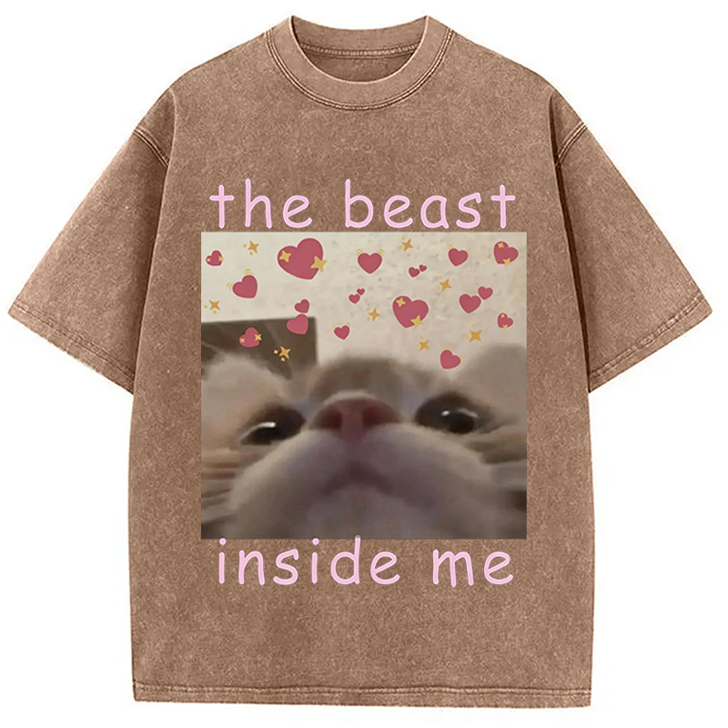 Modecanvas The beast inside me Cat Meme DTG Printing Washed T-Shirt