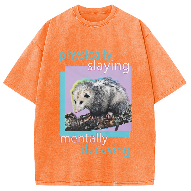Modecanvas Physically Slaying Mentally Decaying DTG Printing Washed T-Shirt