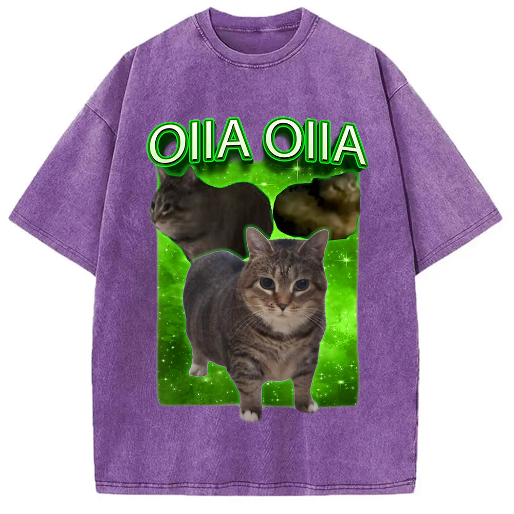Modecanvas Oiia Cat Funny Meme Washed T-Shirt-modecanvas