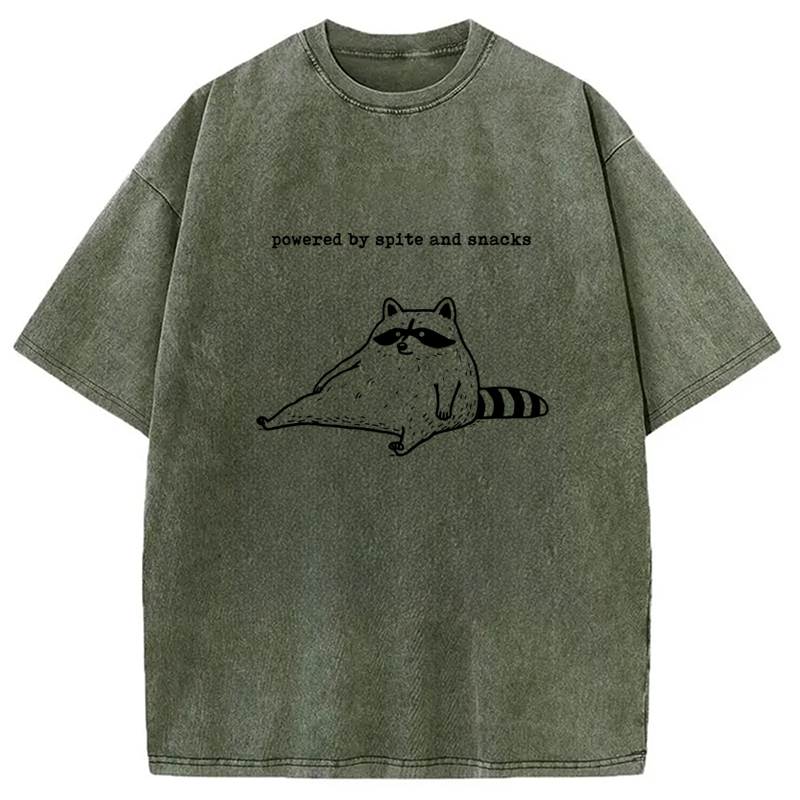 Modecanvas Powered by Spite and Snacks Funny Washed T-Shirt