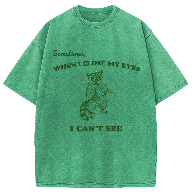 Modecanvas Sometimes When I Close My Eyes I Can't See Funny Raccoon DTG Printing Washed T-Shirt