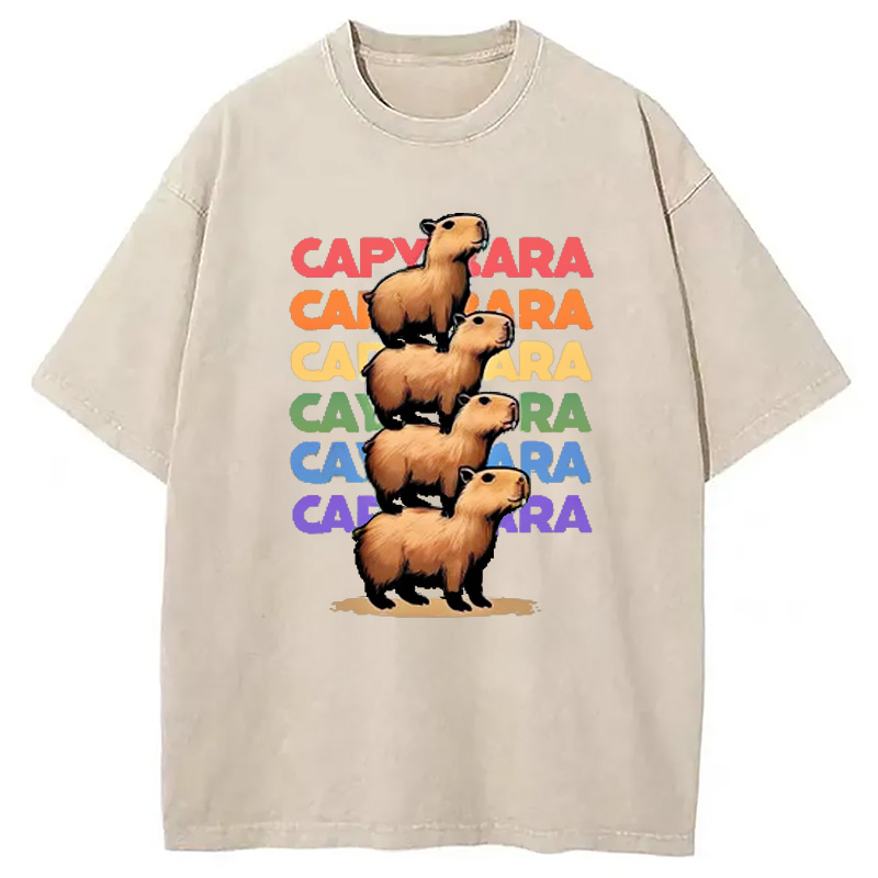Modecanvas Funny Capybara Washed T-Shirt