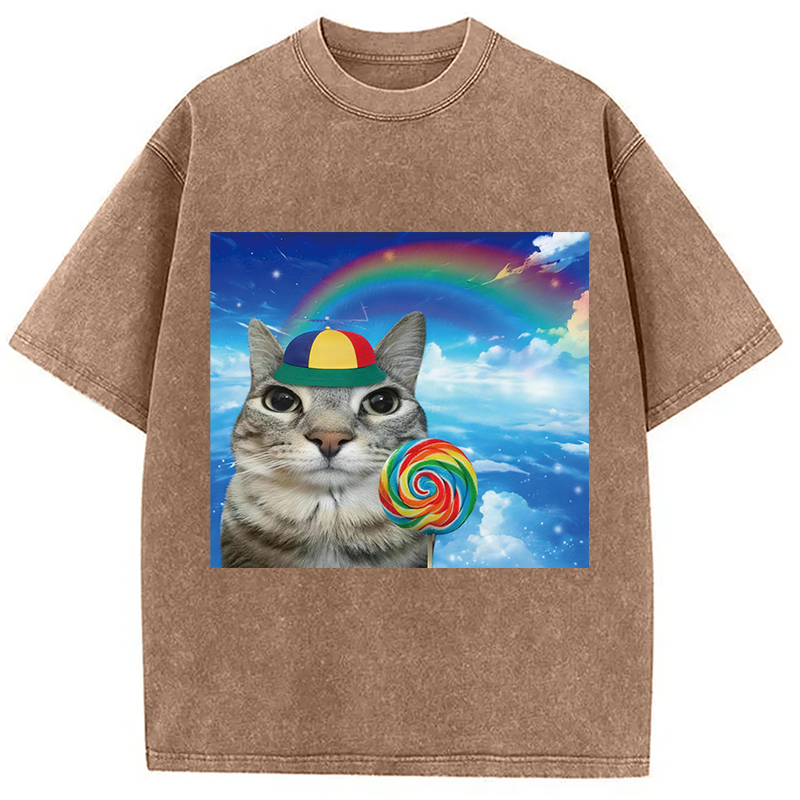 Modecanvas Wholesome Rainbow Cat DTG Printing Washed T-Shirt