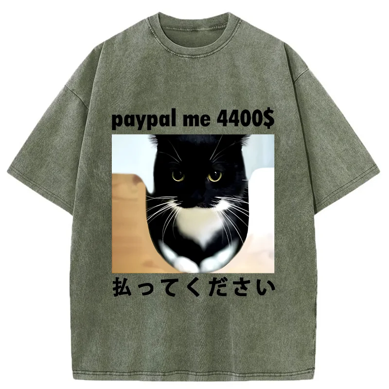 Modecanvas Please Give The Cat Money Washed T-Shirt