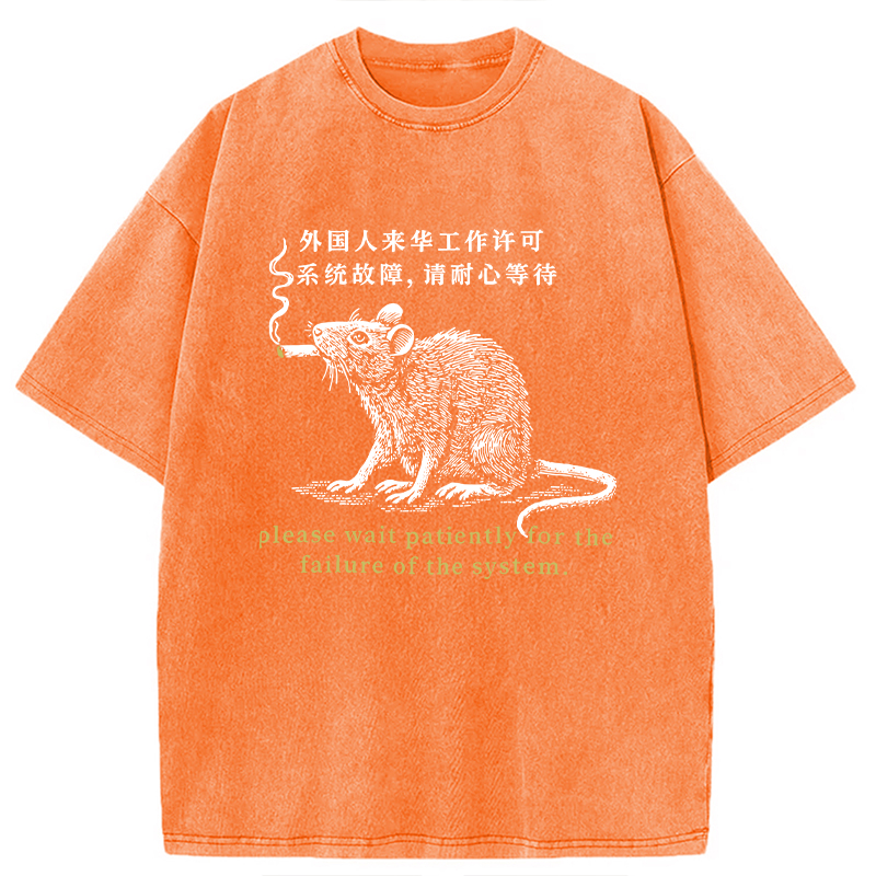 Modecanvas Travel Permit Washed T-Shirt