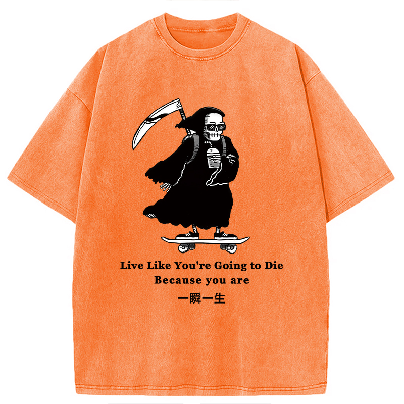 Modecanvas Death Skateboard Washed T-Shirt