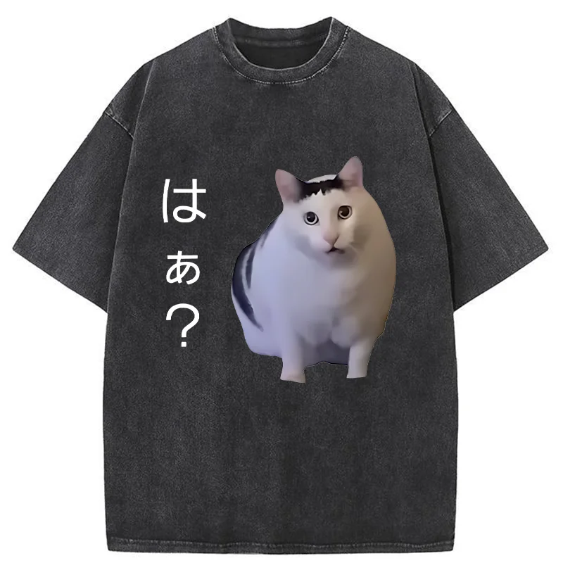 Modecanvas Suspicious Funny Cat Washed T-Shirt-modecanvas