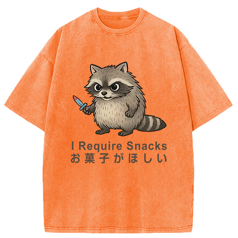Modecanvas Raccoons Need Snacks Funny Washed T-Shirt
