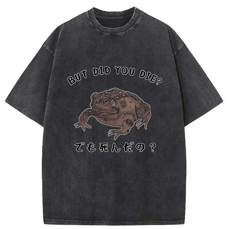 Modecanvas Question From Frog Funny Washed T-Shirt