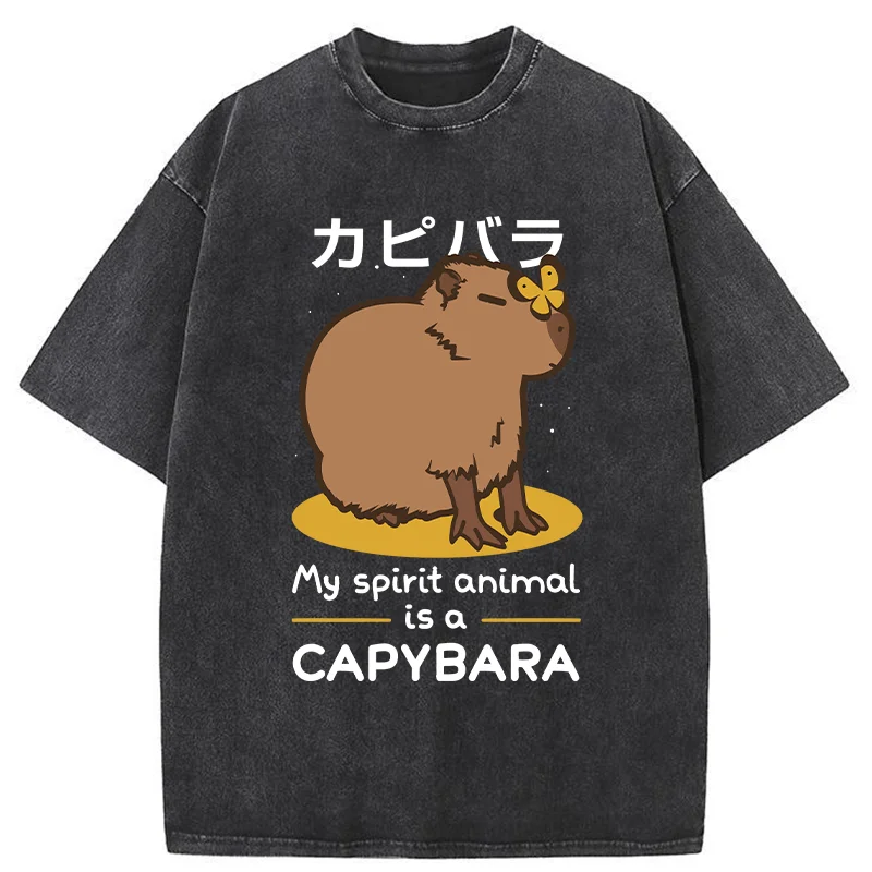 Modecanvas Spirit Animal Capybara Washed T-Shirt