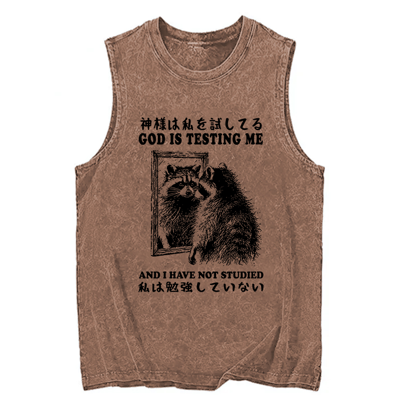 Modecanvas Raccoon Not Studied DTG Printing Washed Tank-modecanvas