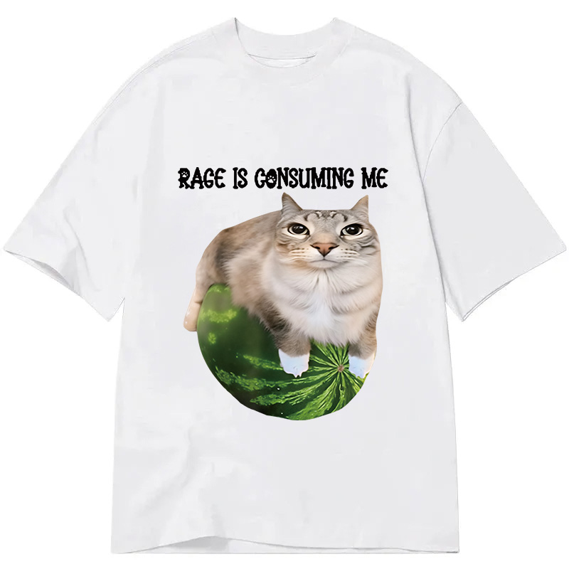 Modecanvas Rage Is Consuming Me Cat Meme DTG Printing Classic T-Shirt-modecanvas