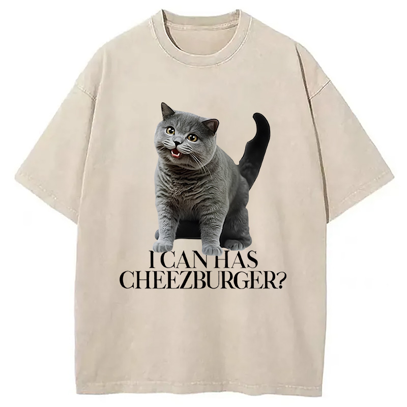 Modecanvas I Can Has Cheezburger Washed T-Shirt