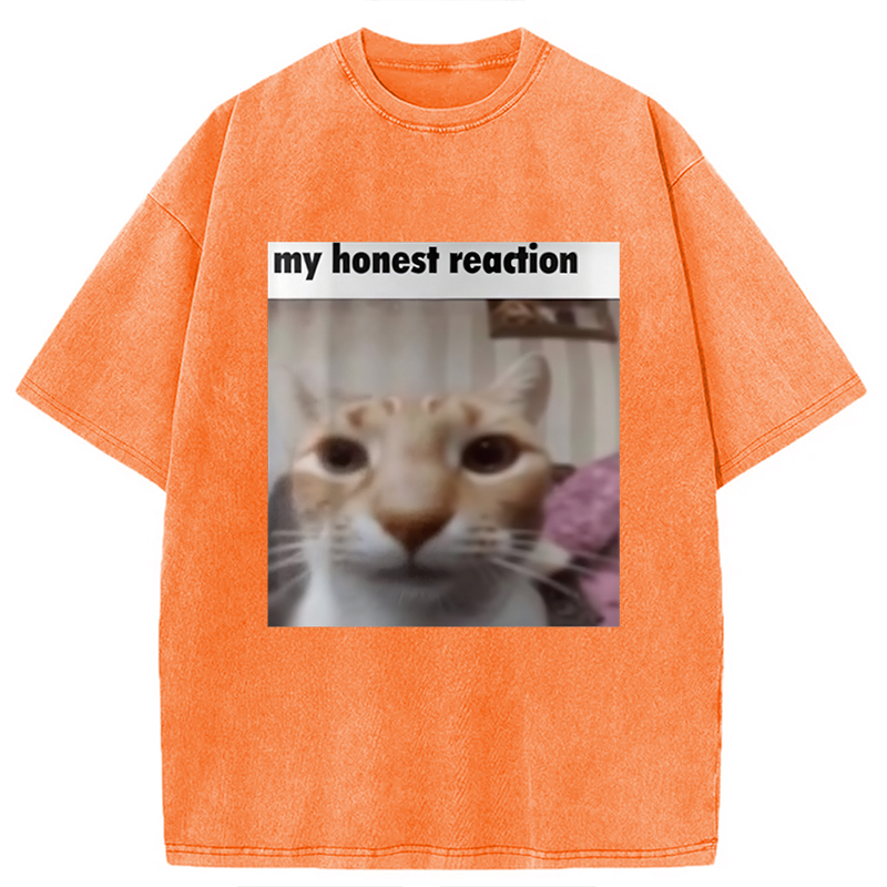 Modecanvas My Honest Reaction Cat Meme Washed T-Shirt