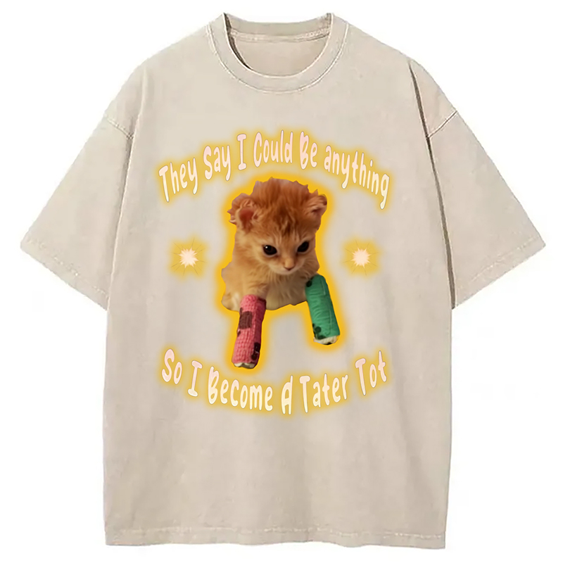 Modecanvas Tater Tot Cat Funny Meme Washed T-Shirt