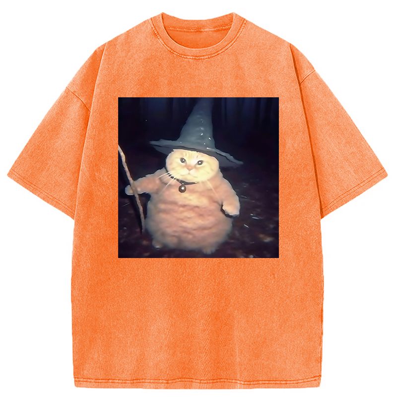 Modecanvas Wizard Cat Funny Halloween Washed T-Shirt-modecanvas