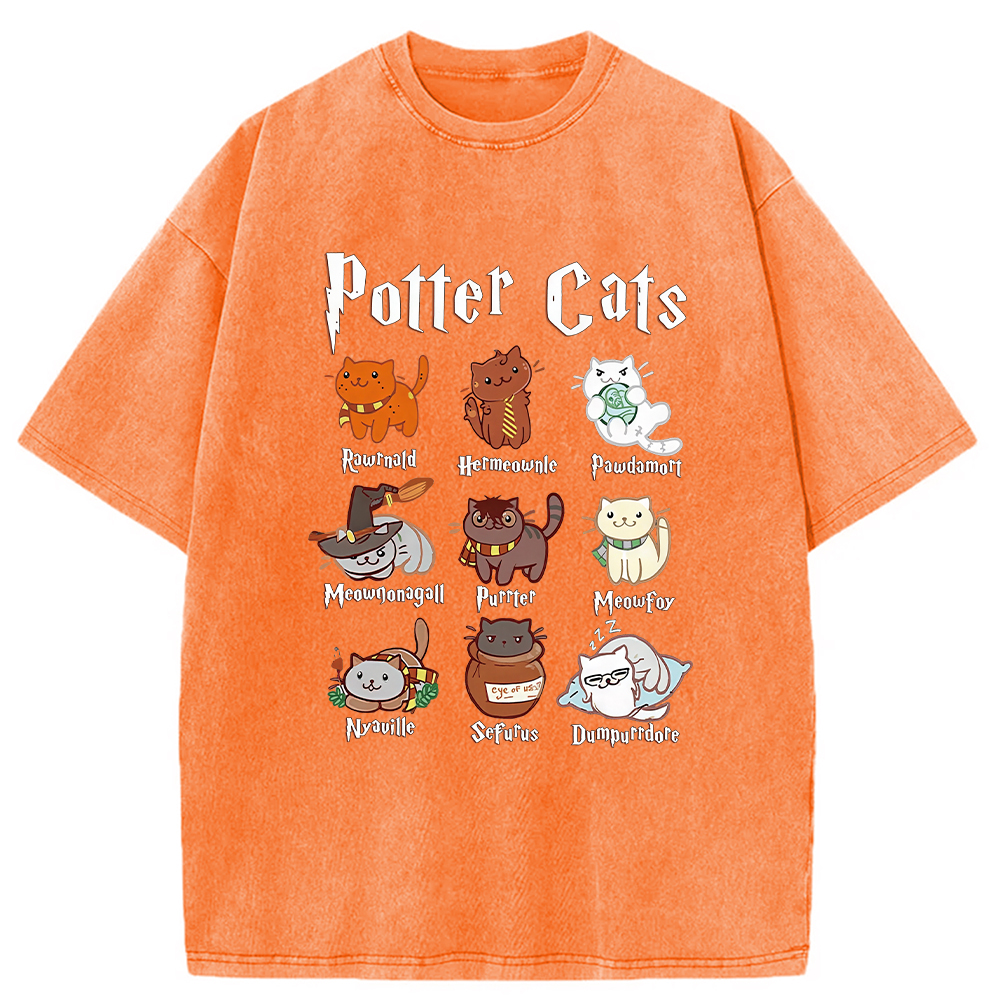 Modecanvas Wizard Cats Washed T-Shirt