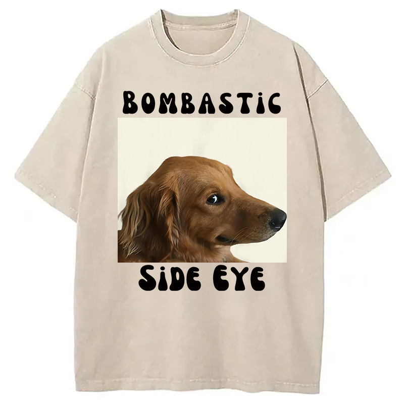 Modecanvas Bombastic Side Eye Funny Dog Meme Washed T-Shirt