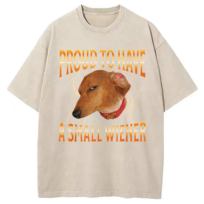 Modecanvas Funny Dog Meme Washed T-Shirt
