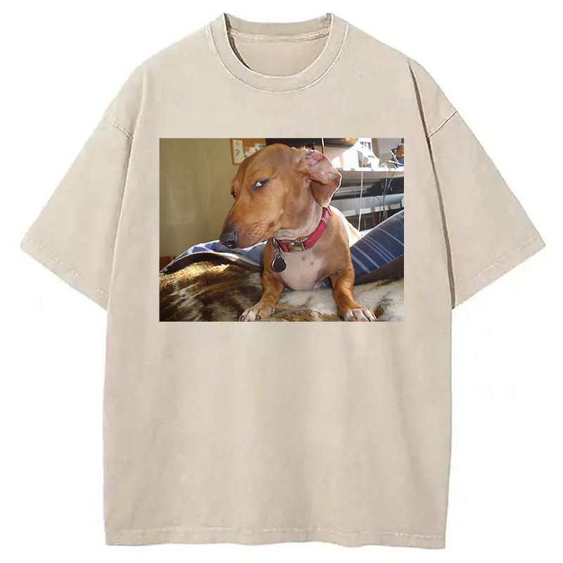 Modecanvas Side Eye Dog Meme Washed T-Shirt
