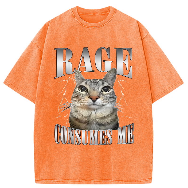 Modecanvas Rage Consumes Me Funny Cat Washed T-Shirt