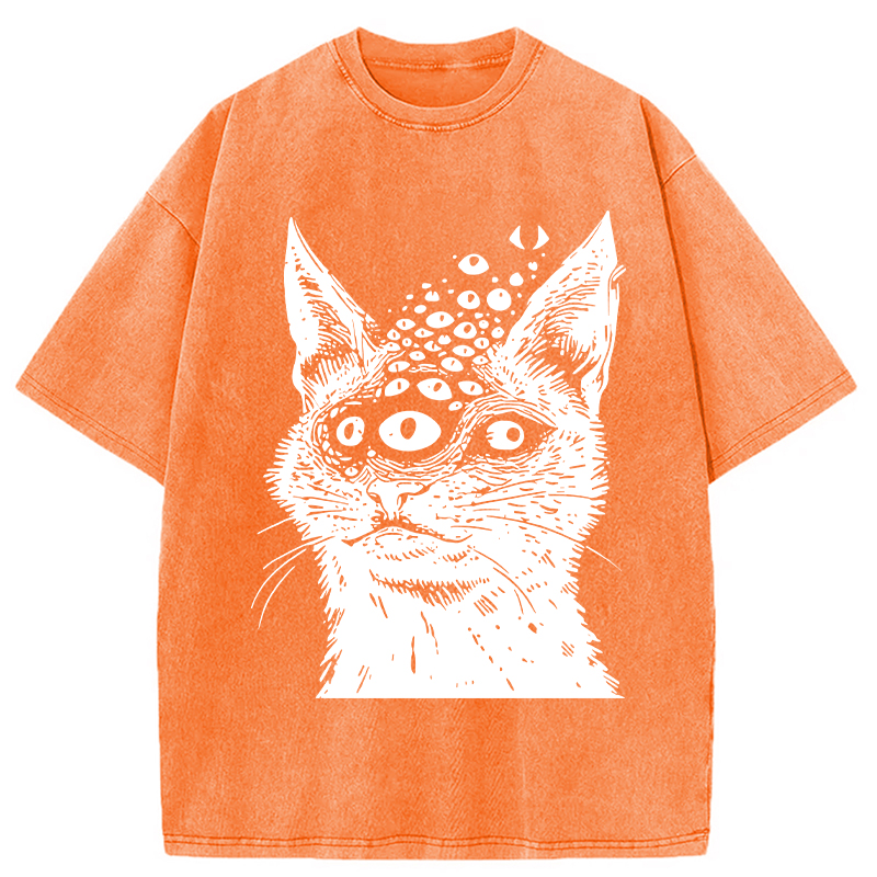 Modecanvas Weirdcore Cat Washed T-Shirt