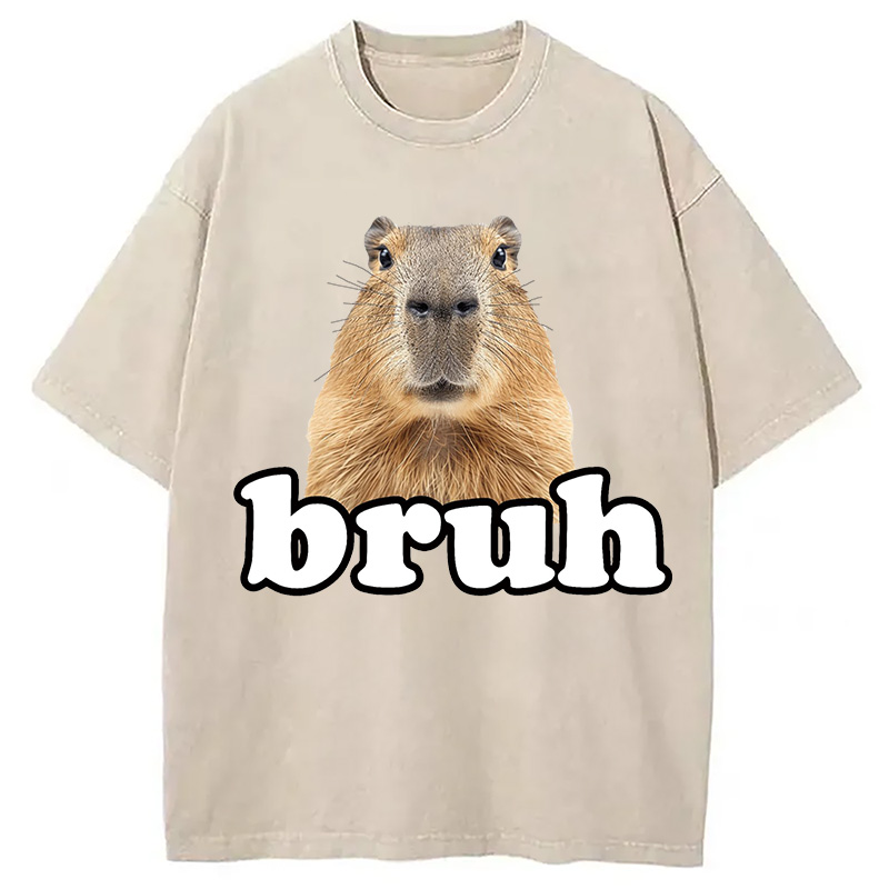 Modecanvas Bruh Capybara Washed T-Shirt