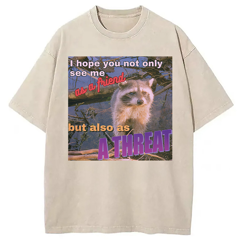 Modecanvas Viral Raccoon Meme Washed T-Shirt