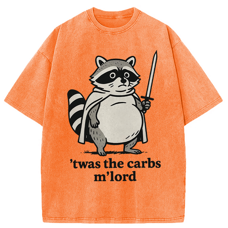 Modecanvas Fat Raccoon Sword Humor Washed T-Shirt