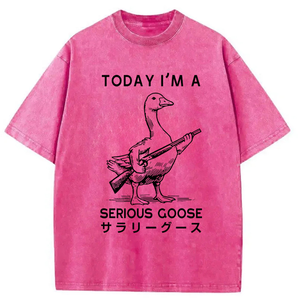 Modecanvas Serious Stupid Goose Washed T-Shirt-modecanvas