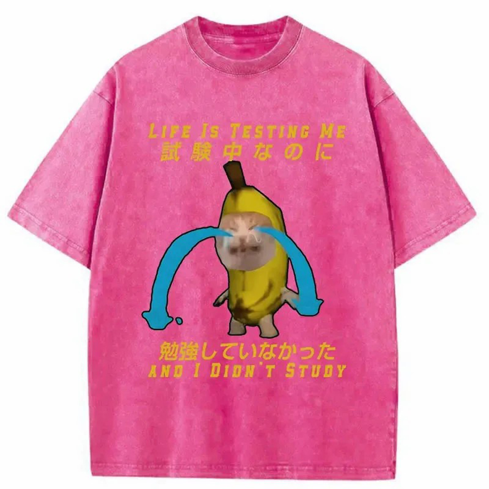 Modecanvas Cat Forced By Life Washed T-Shirt