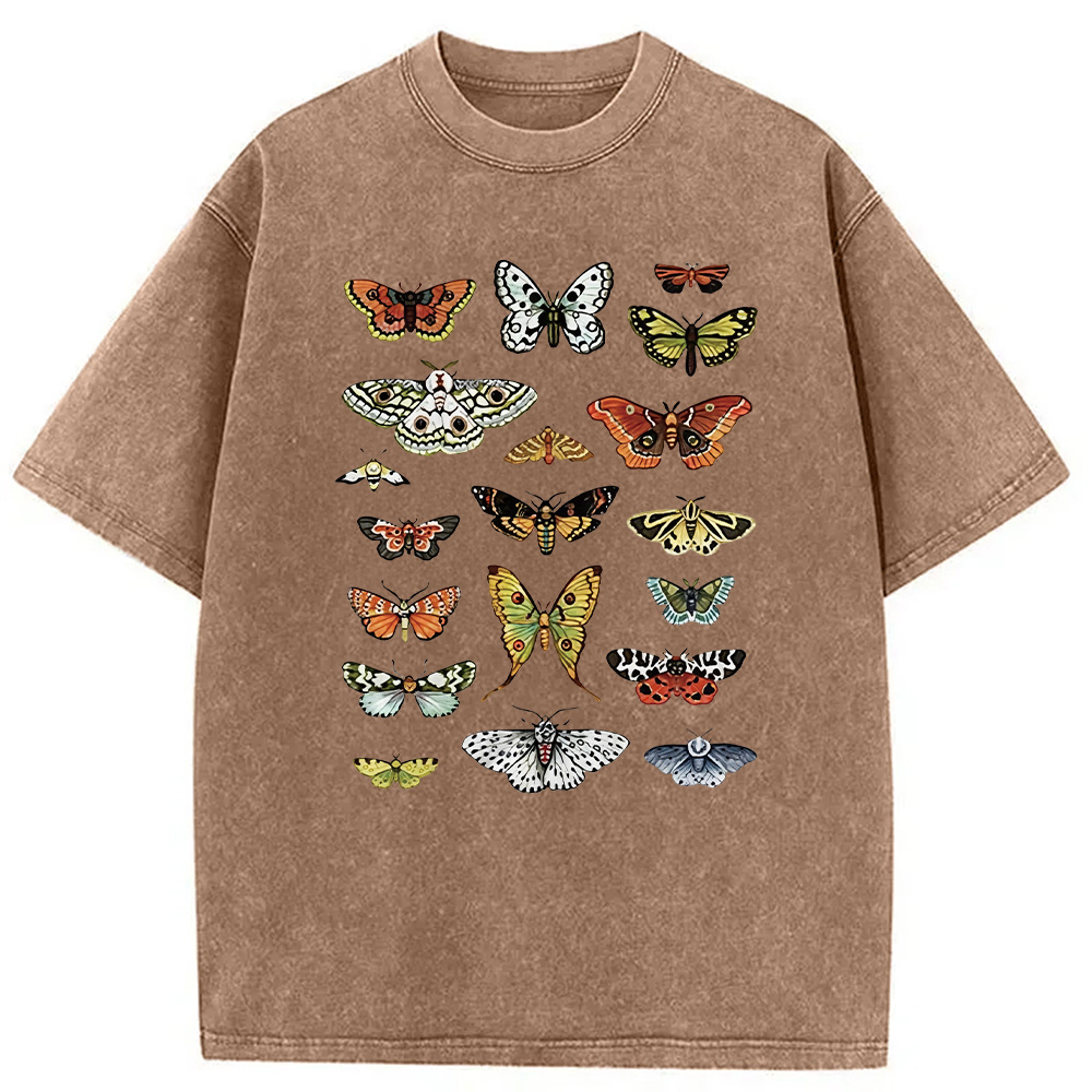 Modecanvas Butterfly History Washed T-Shirt