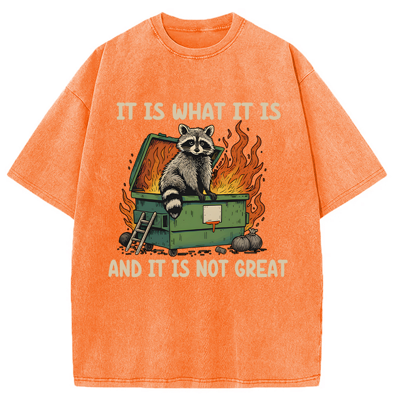 Modecanvas It Is What It Is Dumpster Fire Funny Raccoon Meme Washed T-Shirt