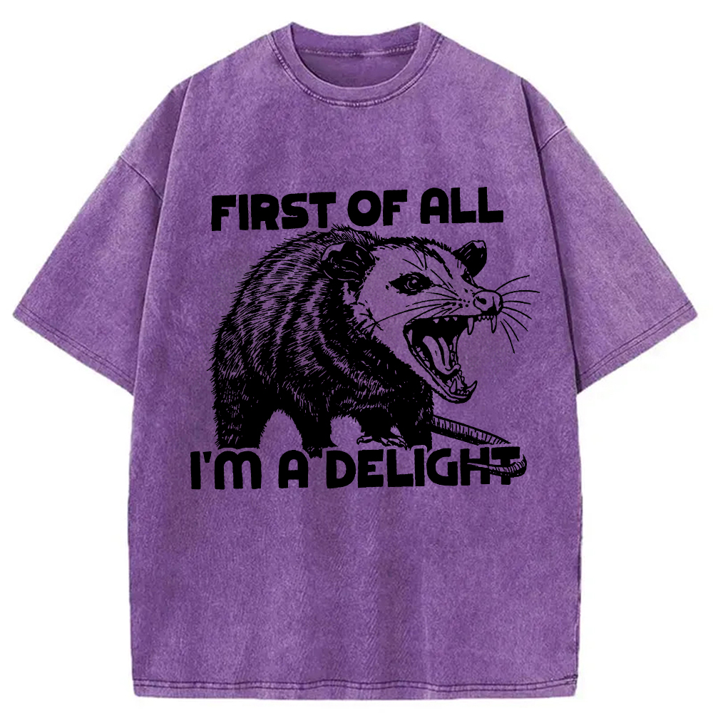 Modecanvas First of All Possum Washed T-Shirt