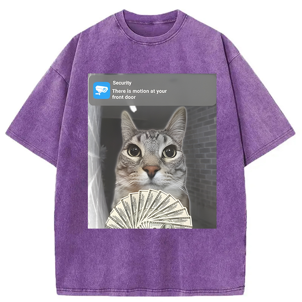 Modecanvas Ring Cat Meme Washed T-Shirt