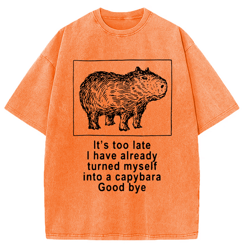 Modecanvas I Have Turned Myself Into A Capybara Washed T-Shirt-modecanvas