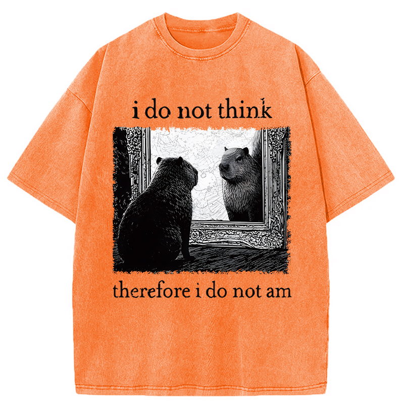 Modecanvas Capybara Paradox Washed T-Shirt