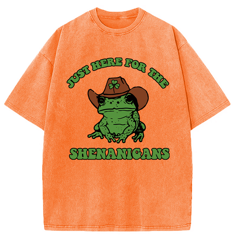 Modecanvas Here for the Shenanigans Washed T-Shirt