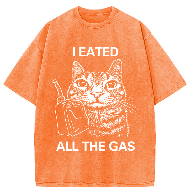 Modecanvas I Eated All The Gas Funny Cat Meme Washed T-Shirt-modecanvas