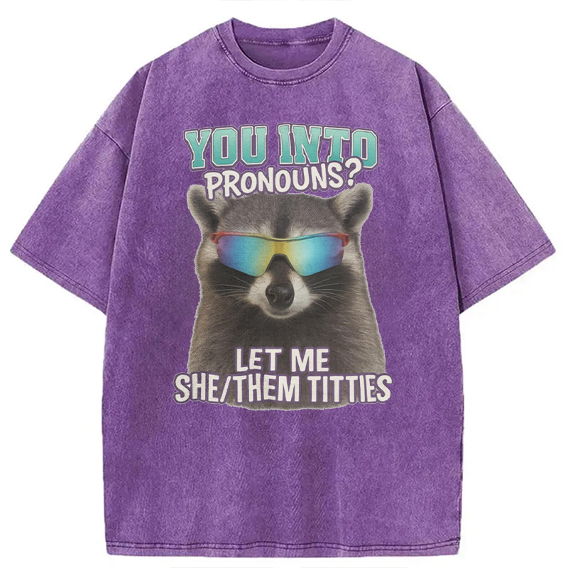 Modecanvas You Into Pronouns? Let Me She/Them Titt*es Raccoon DTG Printing Washed T-Shirt