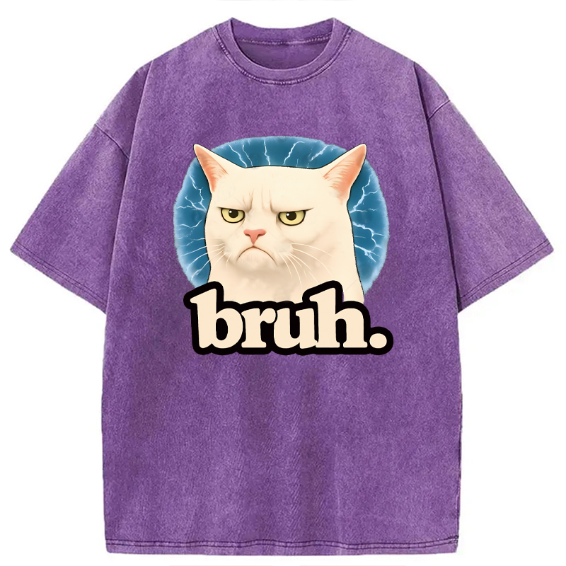 Modecanvas Bruh Cat Meme DTG Printing Washed T-Shirt