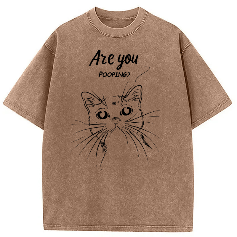 Modecanvas Black Cat Are You Pooping DTG Printing Washed T-Shirt