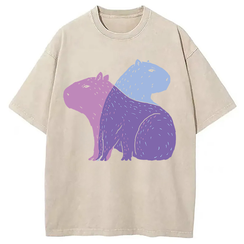 Modecanvas Double Capybaras DTG Printing Washed T-Shirt