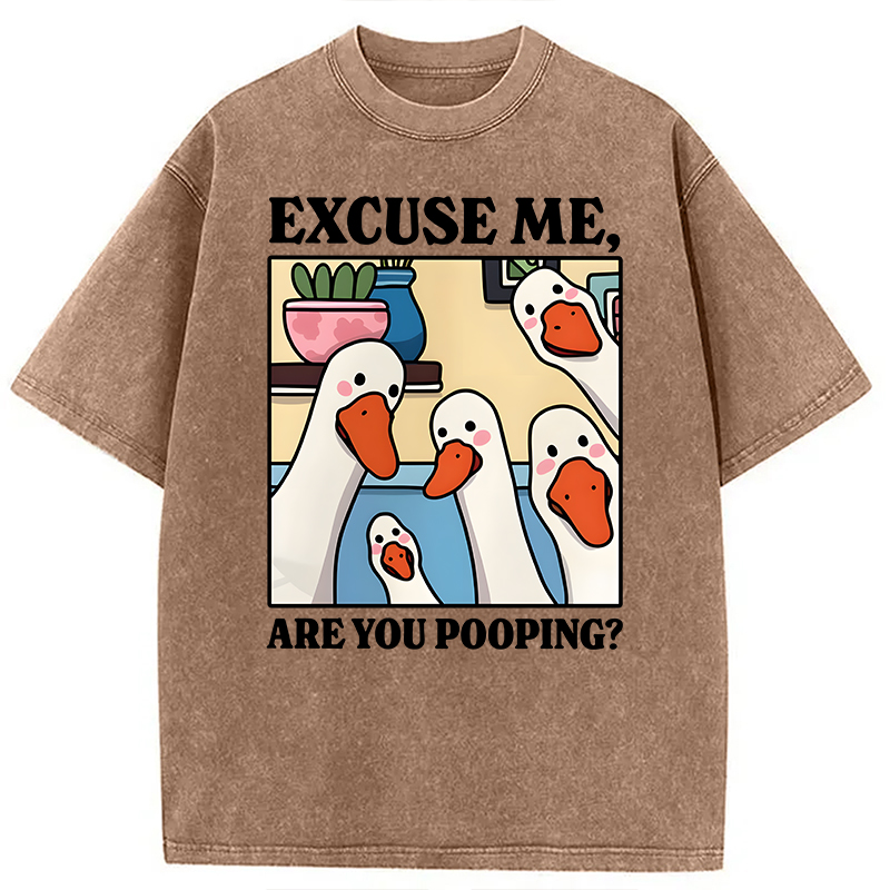 Modecanvas Are You Pooping Goose Meme DTG Printing Washed T-Shirt-modecanvas