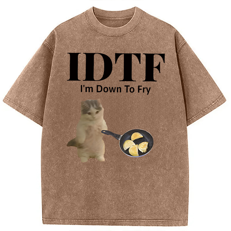Modecanvas IDTF Pierogi DTG Printing Washed T-Shirt-modecanvas