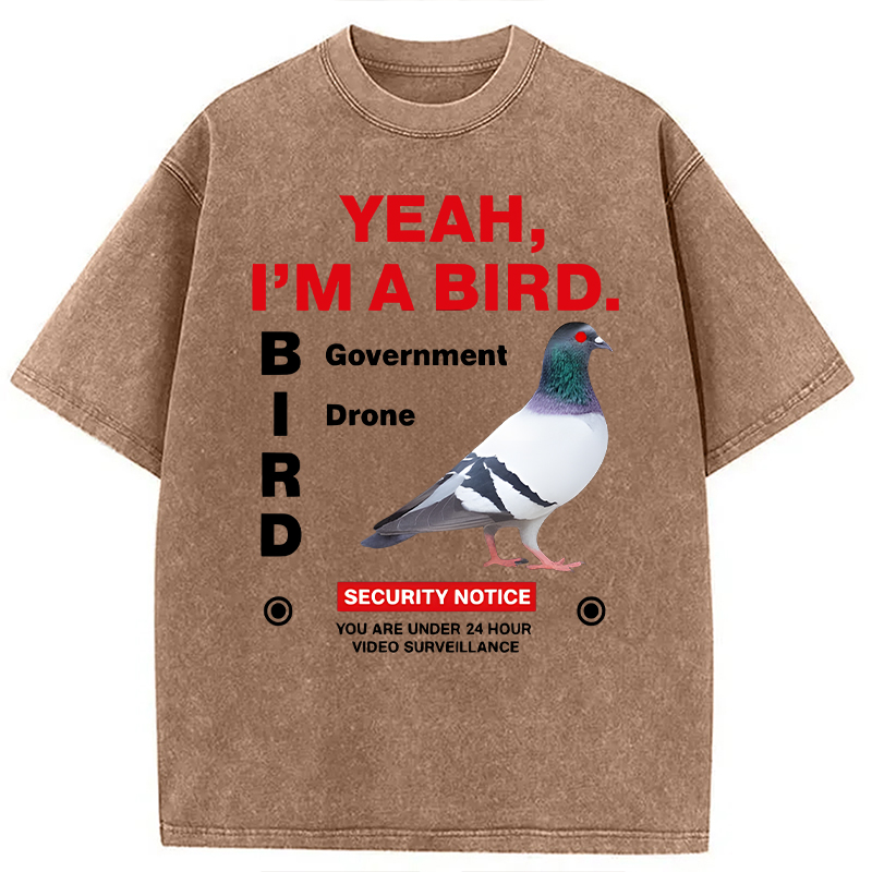 Modecanvas Government Funny Pigeon Puns DTG Printing Washed T-Shirt-modecanvas