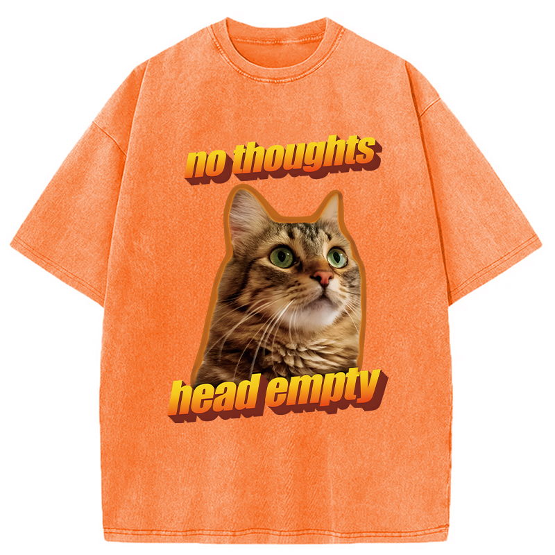 Modecanvas No Thoughts Head Empty Cat Meme DTG Printing Washed T-Shirt-modecanvas