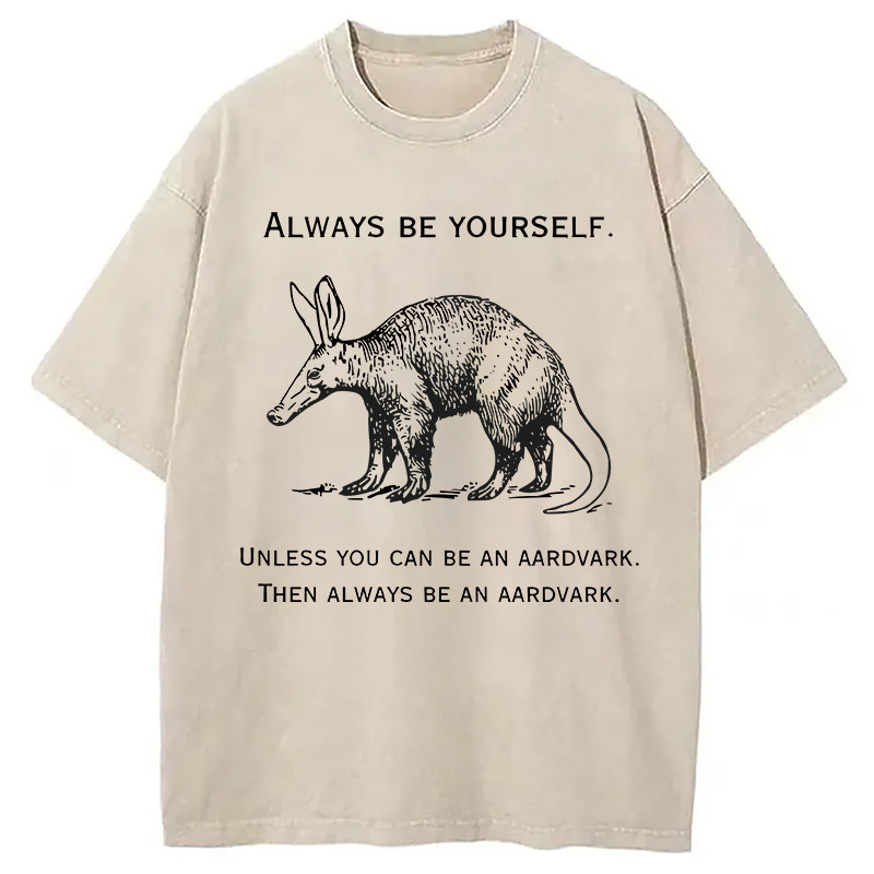 Modecanvas Always Be Yourself Meme DTG Printing Washed T-Shirt-modecanvas