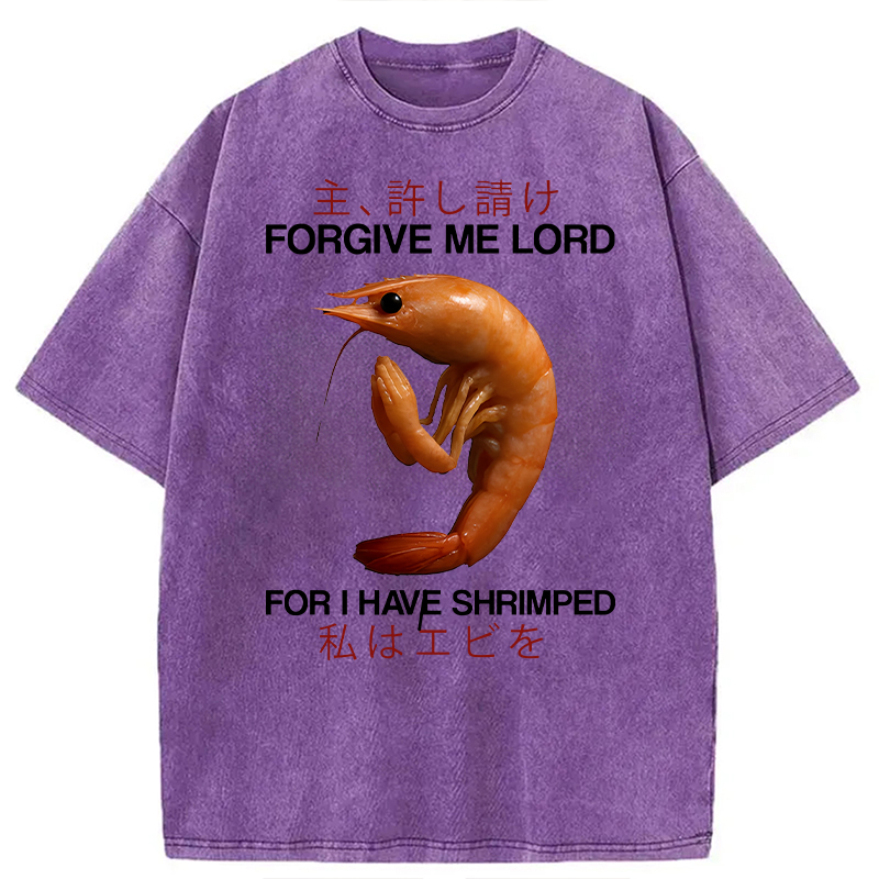 Modecanvas Forgive Me Lord For I Have Shrimped DTG Printing Washed T-Shirt-modecanvas