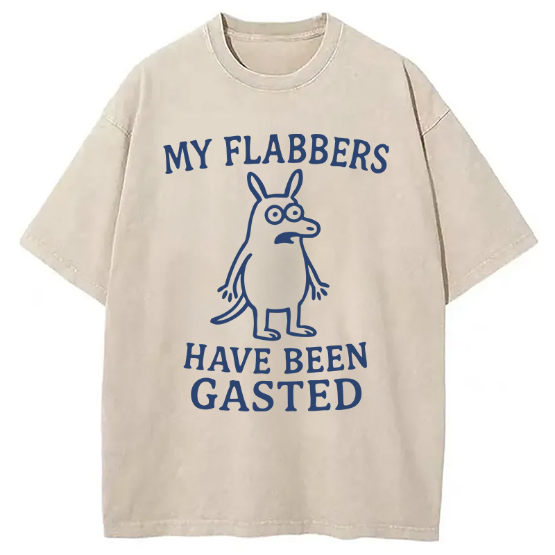 Modecanvas My Flabbers Have Been Gasted Funny Meme DTG Printing Washed T-Shirt-modecanvas